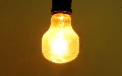 Bulb